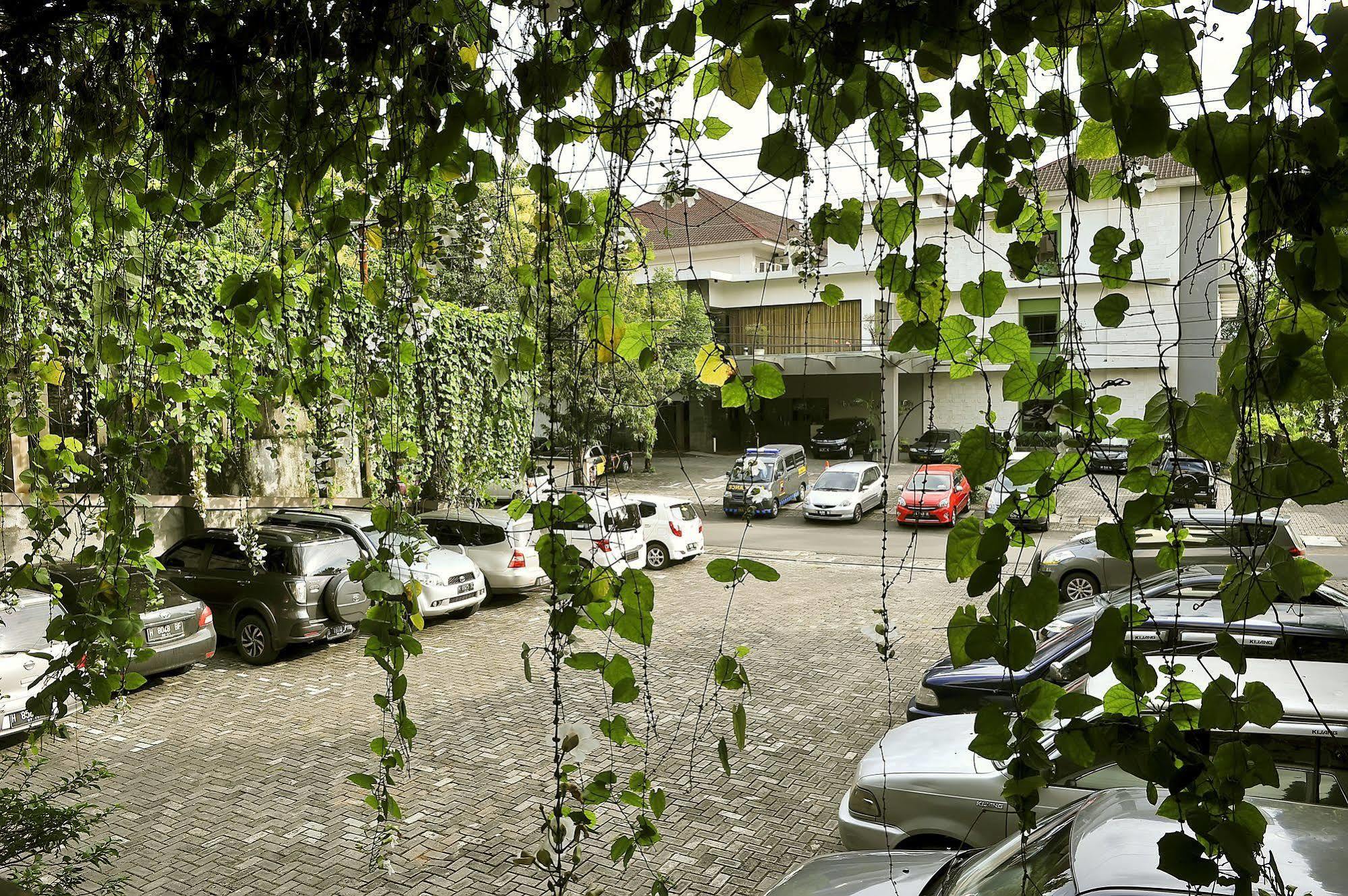 Grasia